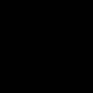 Meet your Posher, Isaac